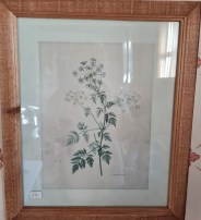 Bild zarte Blumen 1 33x40cm 25.00